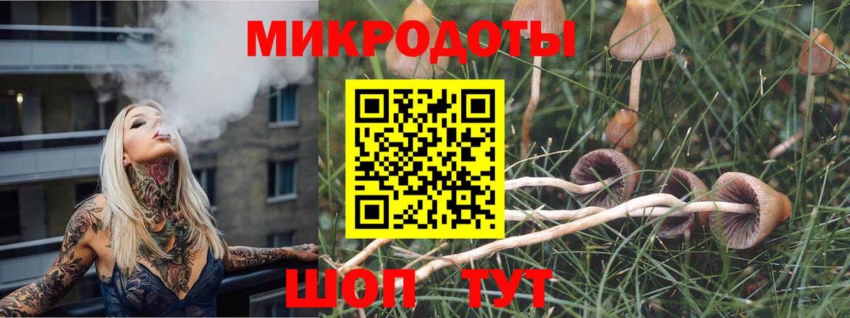 Галлюциногенные грибы мицелий Алексин