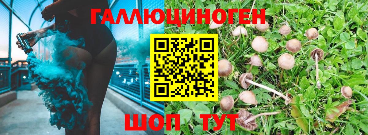 Галлюциногенные грибы MAGIC MUSHROOMS  Вход с VPN  Алексин 